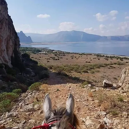 Cofano