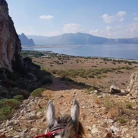 Cofano