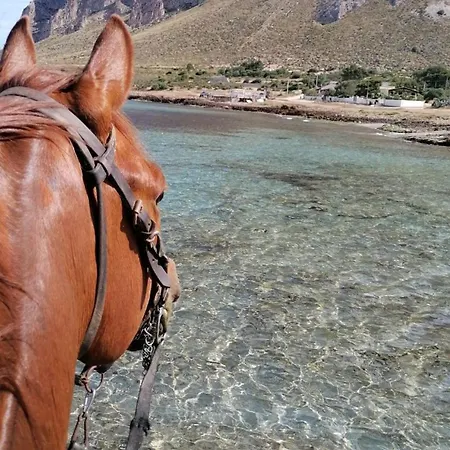 Feriehus Cofano *
