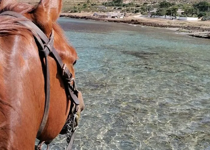 Feriehus Cofano *